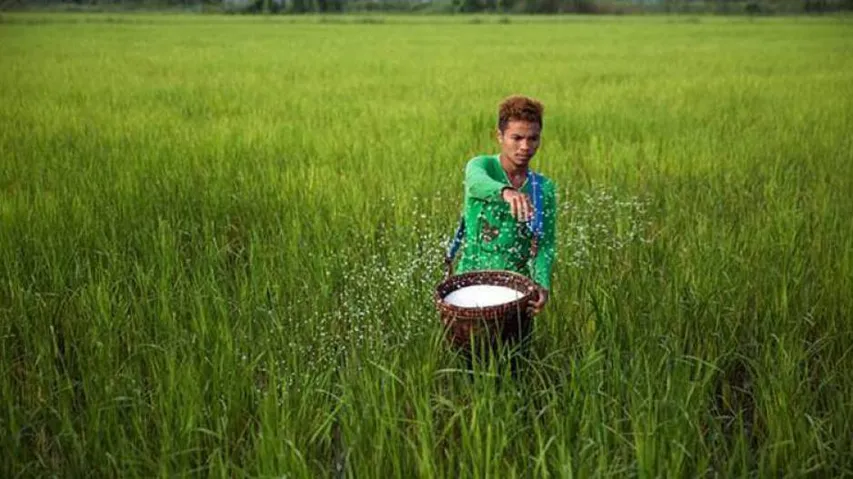 Odisha Urges Centre To Supply 1.03 Lakh Tonne Of Urea