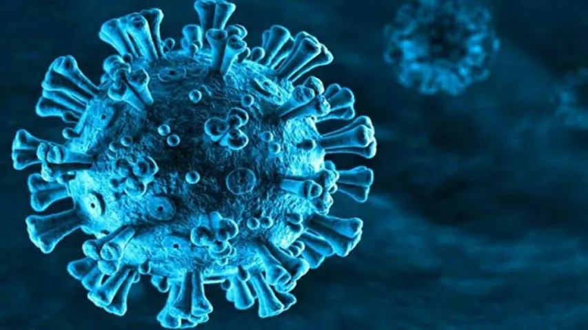 Odisha Registers Highest Single-Day Spike of 1699 COVID-19 Cases, Tally Breaches 40K Mark