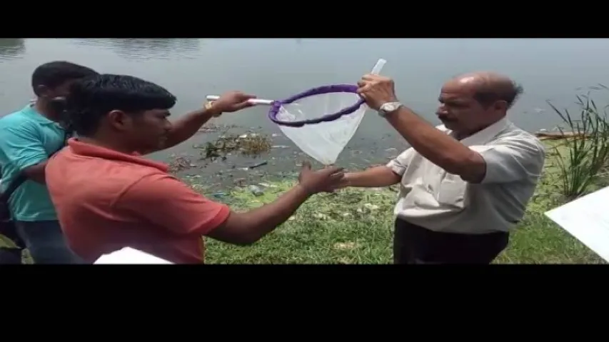 CIFA team starts inquiry into mass fish deaths