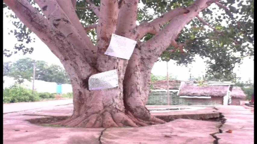 Maoists call for bandh in Kandhamal, Rayagada tomorrow