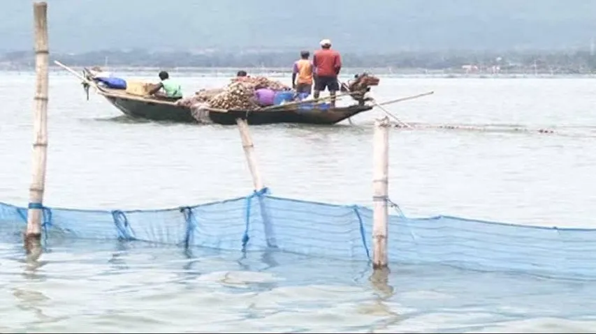 CDA tightens noose on illegal prawn cultivation in Chilika
