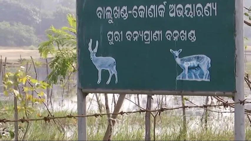 Pollution threat looms large over Puri Balukhand sanctuary