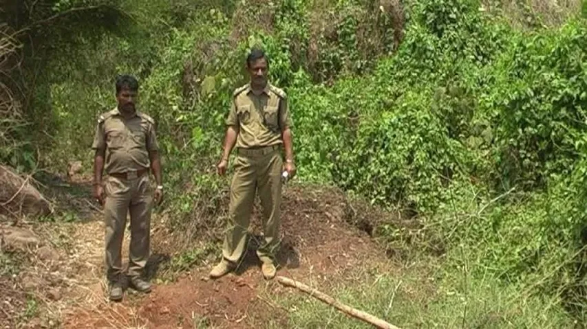 Baby elephant found dead in pond