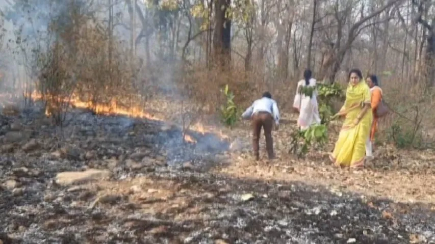 Similipal fire: Centre rushes 3-member expert team to help Odisha govt