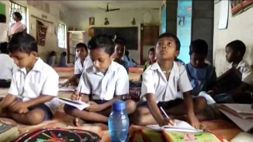Students studying 