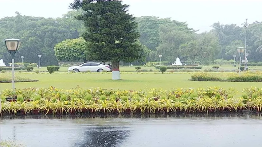 Odisha records 37 percent less rainfall; monsoon revival soon