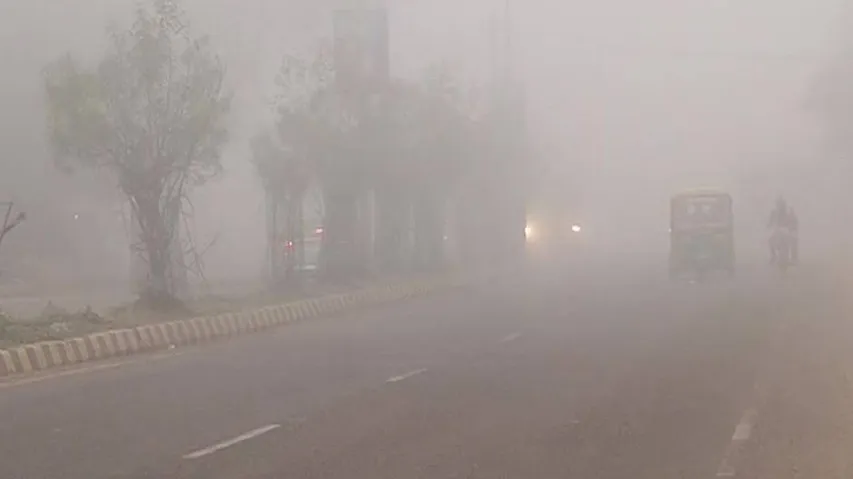 Winter Update: Night Temperature Rises But Dense Fog Severely Affects Normalcy In Odisha