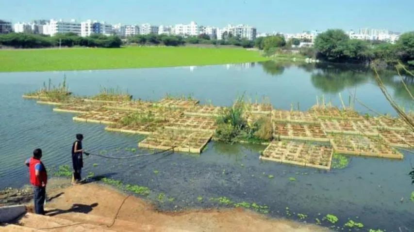 Op-Ed: Smaller Wetlands, Too, Need Attention