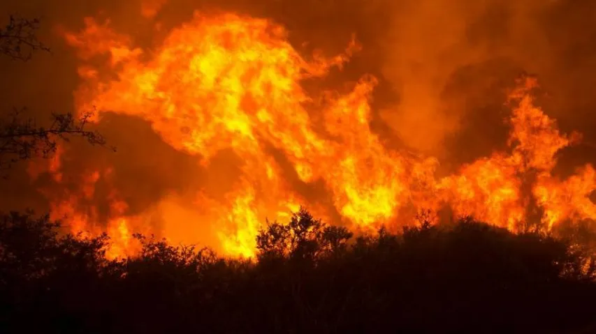 Deadly wildfire sweeps through California's wine region