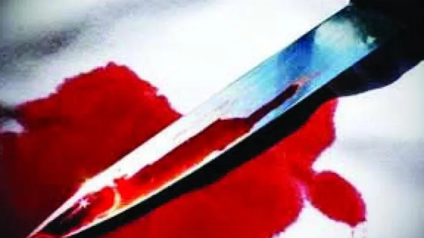 Man Who Killed Wife, Himself In US Was Jealous Of Bollywood Actor: Friends