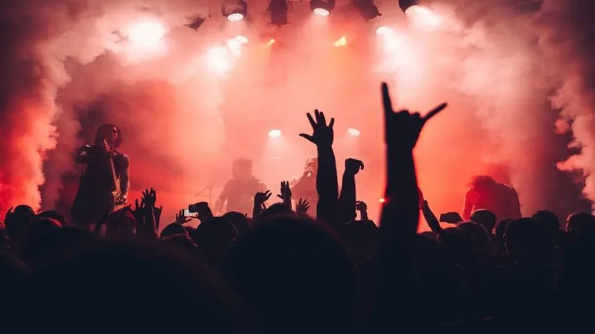 Odisha Govt Bans Zero Night Celebrations Across State On New Year's Eve