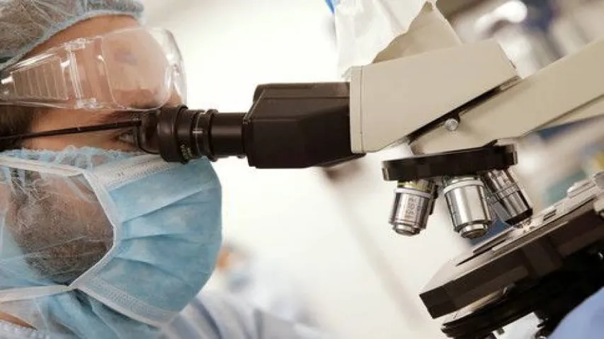 Scientists reveal why Zika virus causes microcephaly