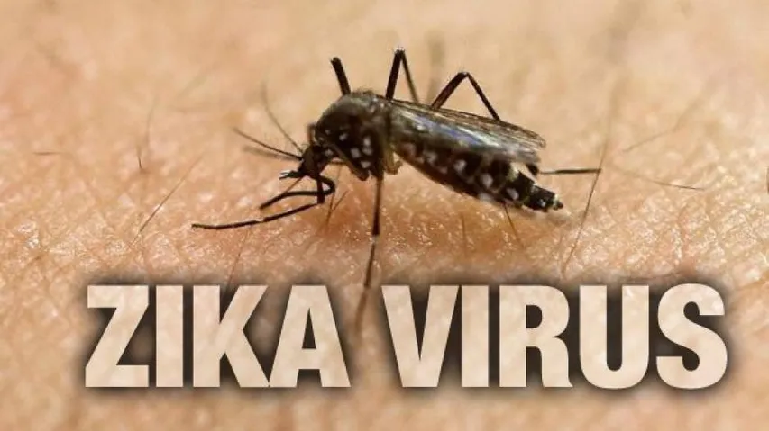 DNA-based Zika vaccine found effective in early human trial