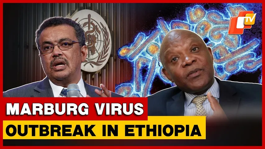 Ethiopia Confirms First Marburg Outbreak As WHO Ramps Up Emergency Response
