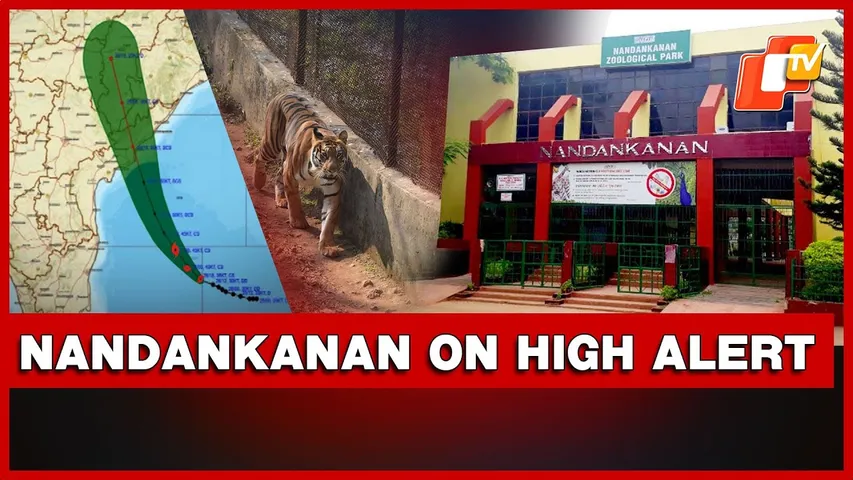 Cyclone Montha: Nandankanan Zoological Park Activates Emergency Protocols To Safeguard Animals Ahead