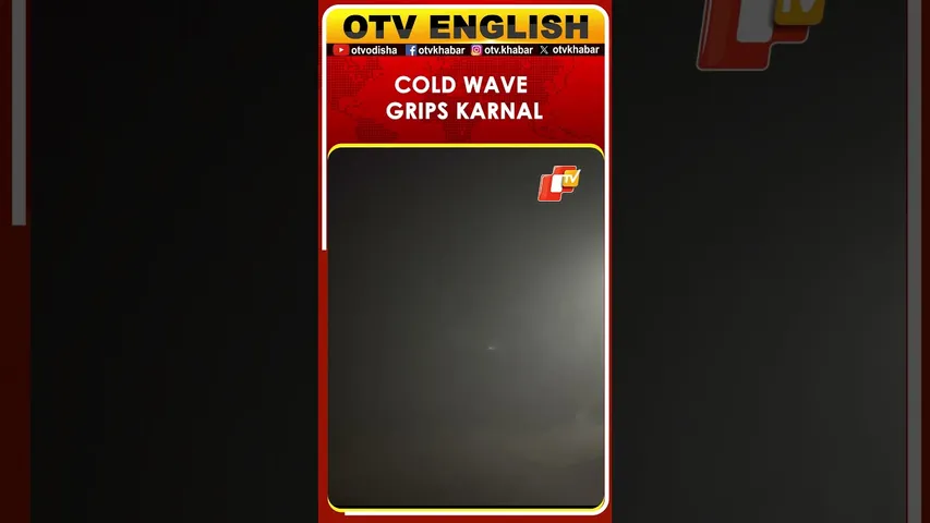 Karnal Wakes Up To Layer Of Dense Fog As Cold Wave Grips City | Haryana