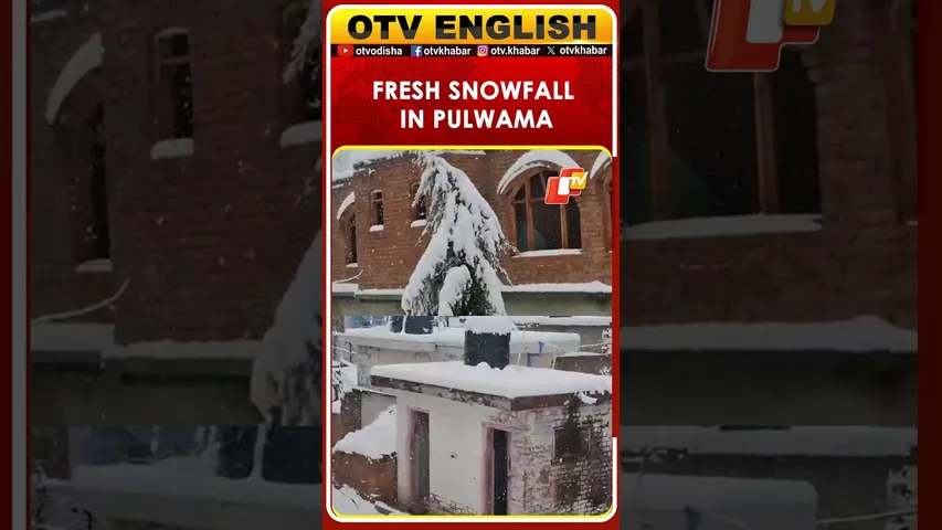 Fresh Snowfall Blankets Pulwama In Jammu & Kashmir