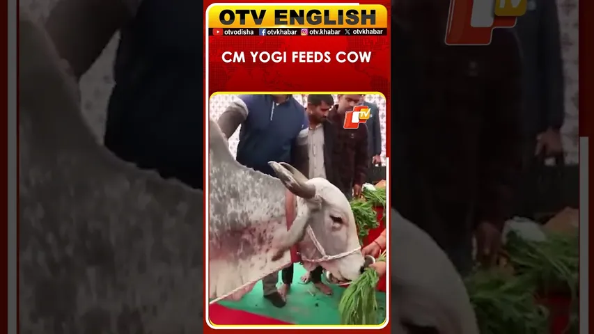 Prayagraj: UP CM Yogi Adityanath On Ramanandacharya's Unity Call