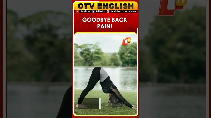 5 Yoga Asanas to Relieve Back Pain Instantly | OTV