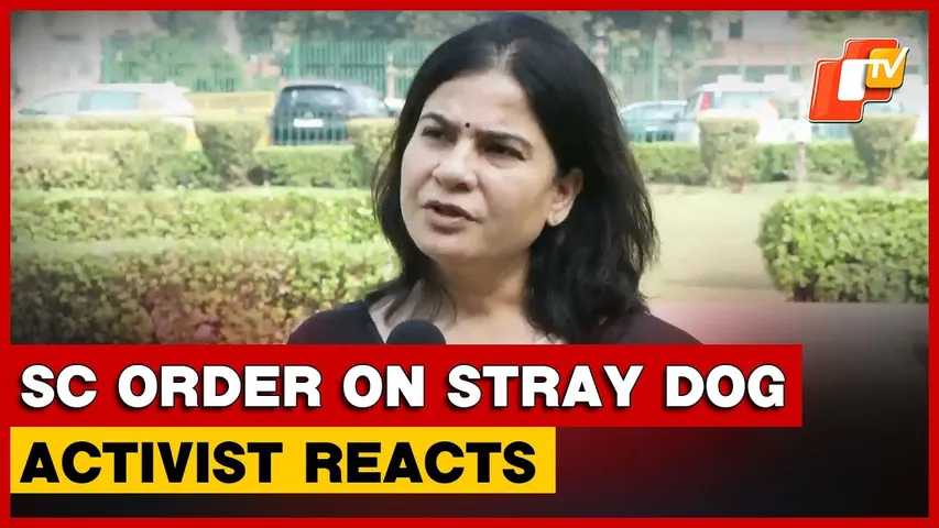 Animal Rights Activist Calls SC Order On Stray Dogs In Delhi-NCR ‘Unrealistic & Problematic’