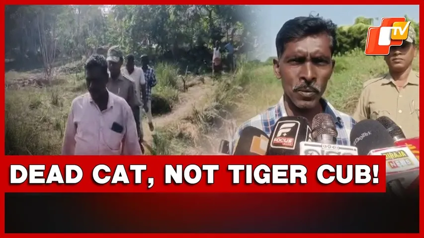 Panic Grips Cuttack Village Over Dead Animal Mistaken For Tiger In Cuttack | Odisha