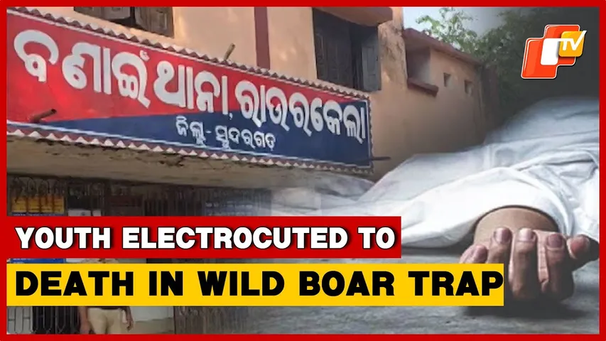 Youth Dies After Being Trapped In Electric Wire Set For Wild Boar In Sundargarh