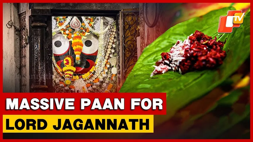 Massive 2-Foot Paan To Be Offered To Lord Jagannath At Puri Srimandir On Makar Sankranti