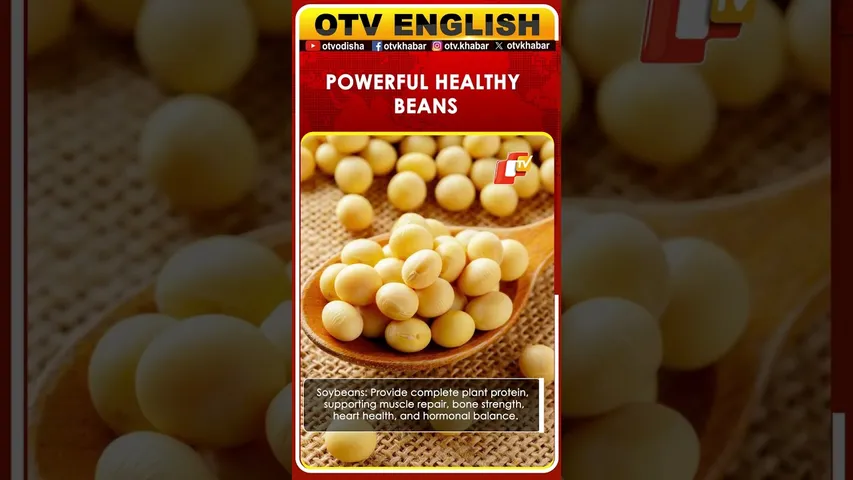 From Soy to Chickpeas: 5 Healthy Beans for Everyday Protection