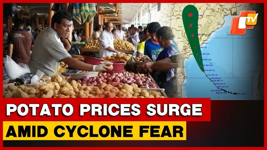 Potato Prices Soar In Odisha As Cyclone 'Montha' Looms