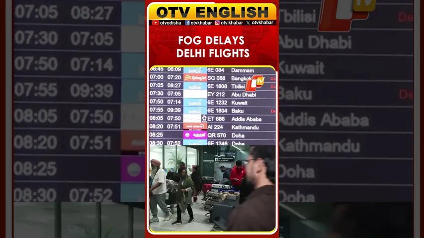 Cold Waves & Fog Delay Flights At IGI Airport In Delhi