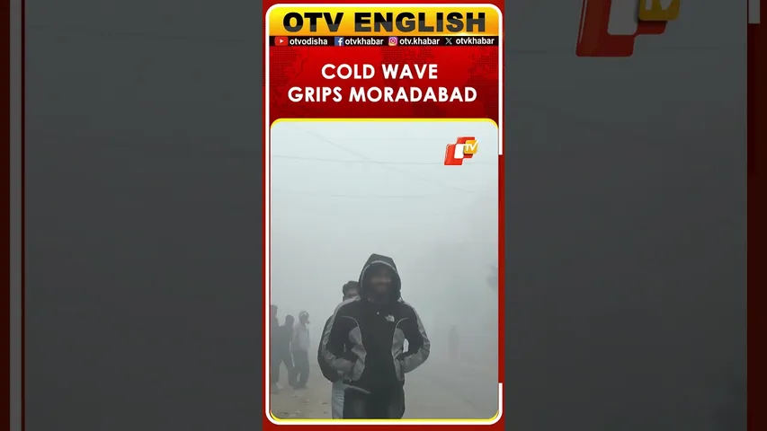 Moradabad Cold Wave: People Huddle, IMD Forecasts 8°C