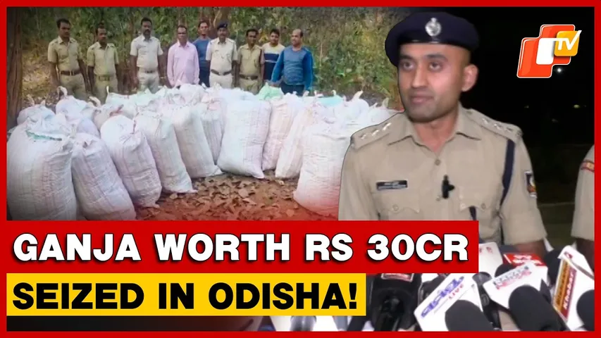 Ganja Worth Rs 30cr Seized In Kandhamal As Odisha Police Enforce Zero-Tolerance Policy | Odisha