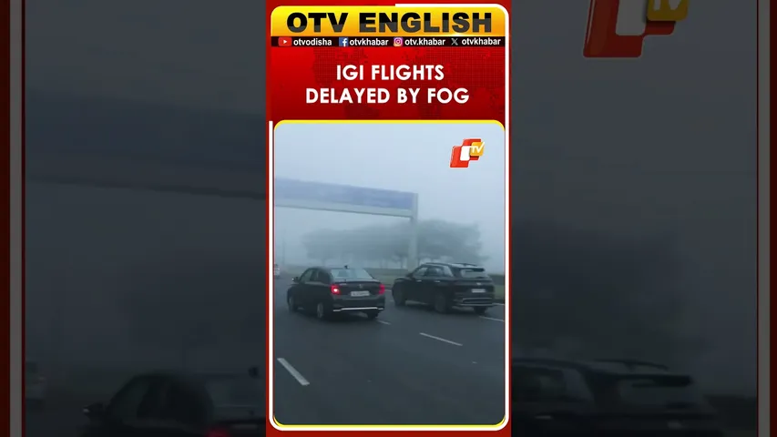 Cold Waves Cause Flight Delays At IGI Airport In Delhi