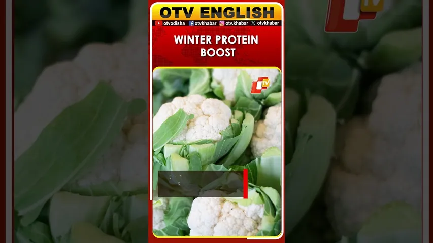 6 Protein-Rich Winter Indian Vegetables to Add to Your Daily Diet