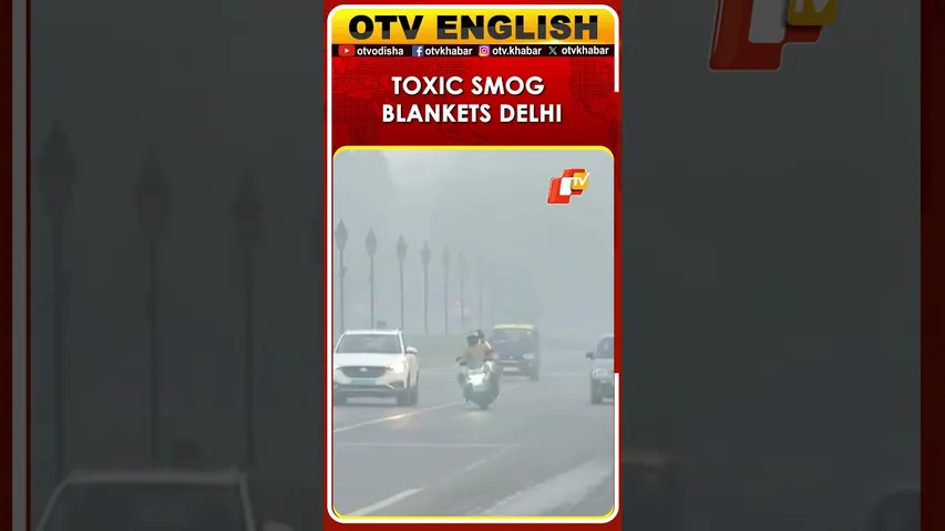 Visuals From The Ina Flyover Of Delhi, AQI Around The Area Is 387, Categorised As 'Very Poor'