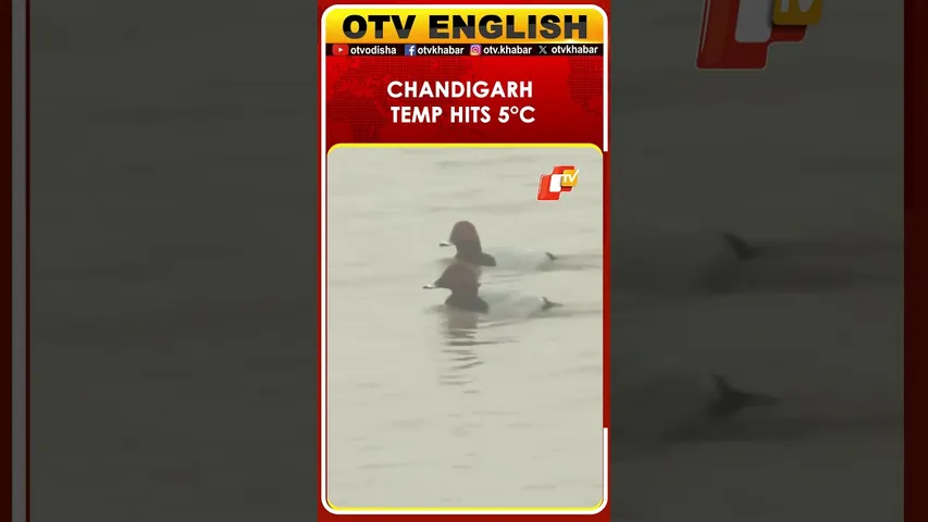 IMD Reports 5°C Temperature Dip At Chandigarh's Sukhna Lake