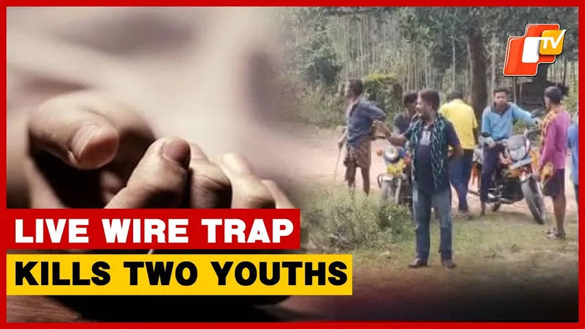 Two Youths Electrocuted To Death In Live Electricity Wire Trap In Odisha