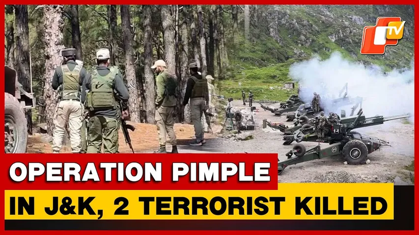 Operation Pimple: Two Terrorists Neutralized In J-K's Kupwara