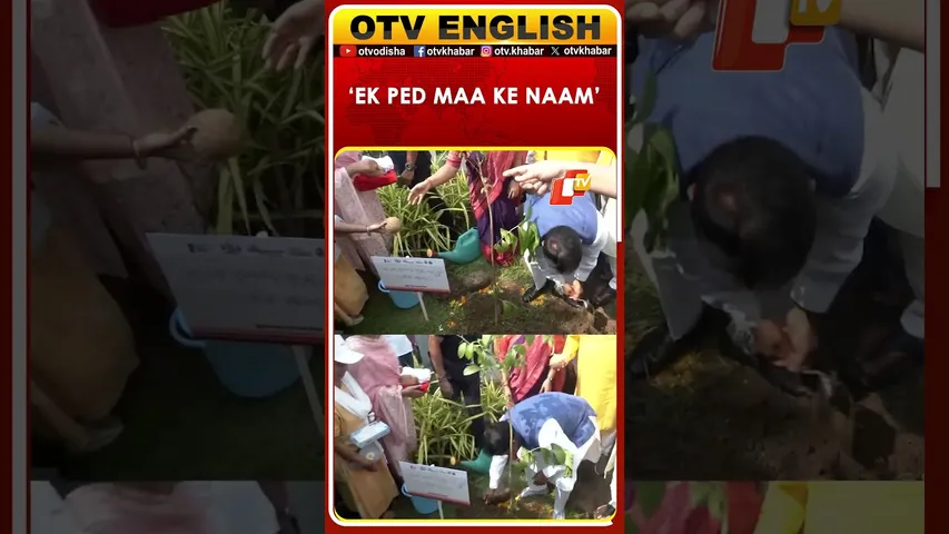 Odisha CM Mohan Majhi Plants A Sapling At The Lingaraj Temple Under 'Ek Ped Maa Ke Naam' Initiative