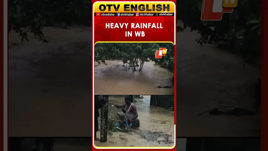 West Bengal | Heavy Rainfall Causes A Flood Situation In Nagrakata, Jalpaiguri. |  OTV