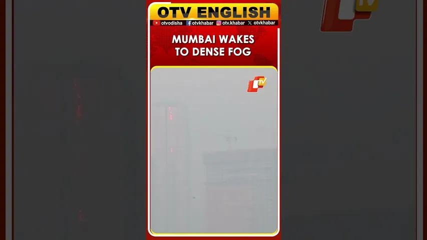 Mumbai City Wakes Up To Dense Fog In Wadala Area