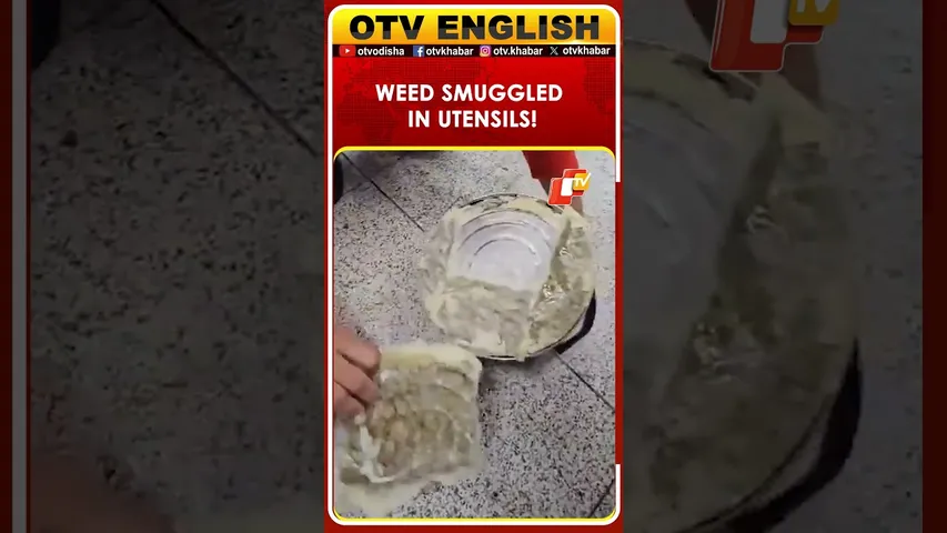 Customs Officials At Delhi Airport Intercept Passenger And Recover Hydroponic Weed | OTV