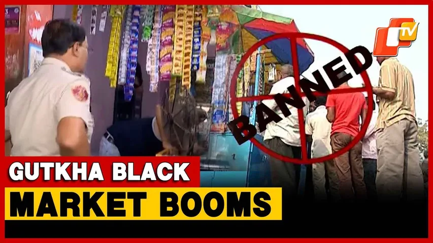 Gutkha Ban! Odisha Prohibits Sale And Distribution Of Nicotine-Based Products