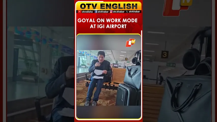 Piyush Goyal Works On Files At Delhi Airport Ahead Of New Zealand FTA Trip