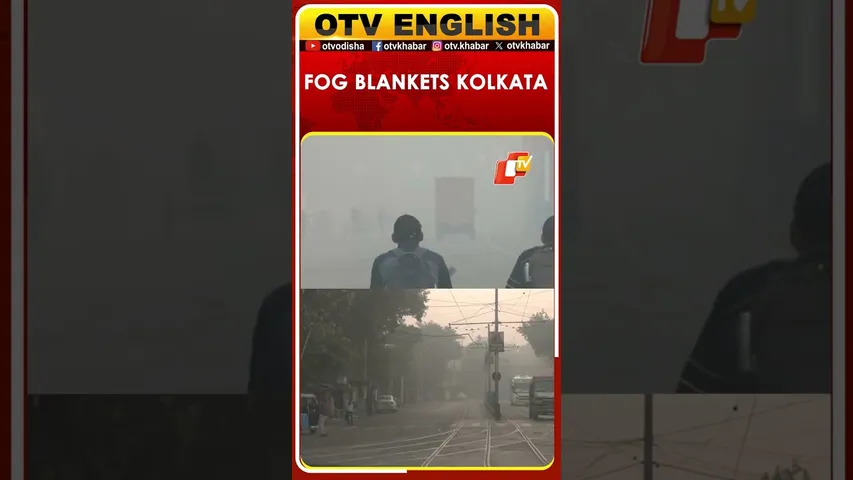 Kolkata Wakes Up To Thick Layer Of Fog After Temperature Dip