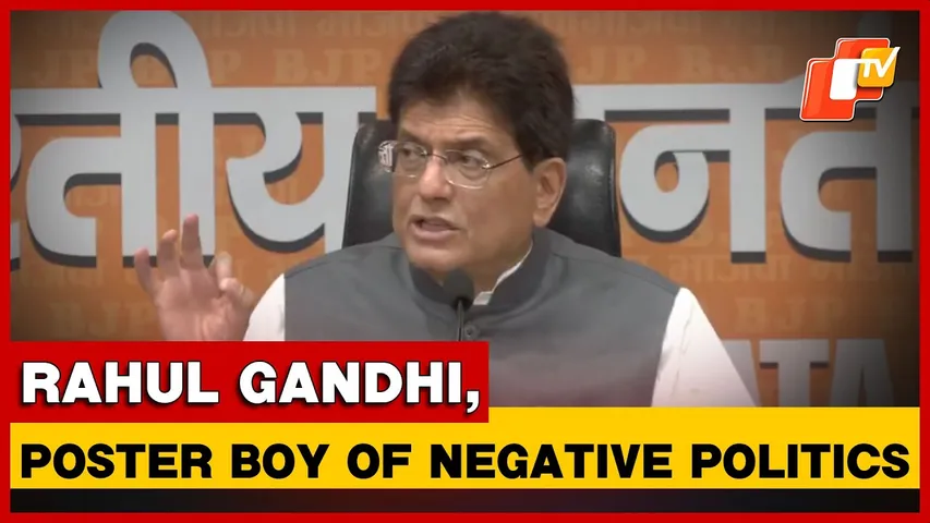 Delhi: Piyush Goyal Calls Rahul Gandhi 'Poster Boy Of Negative Politics'