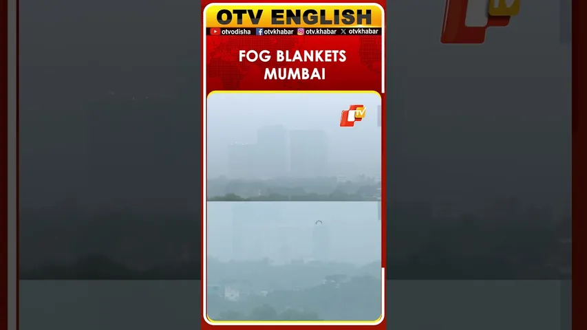 Watch: Fog Blankets Mumbai, Maharashtra