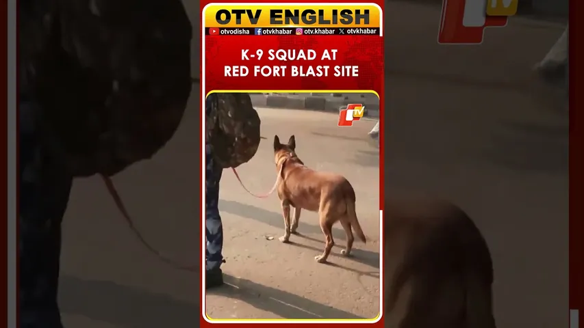 Red Fort Blast: K-9 Squad Joins Security Check At Explosion Site