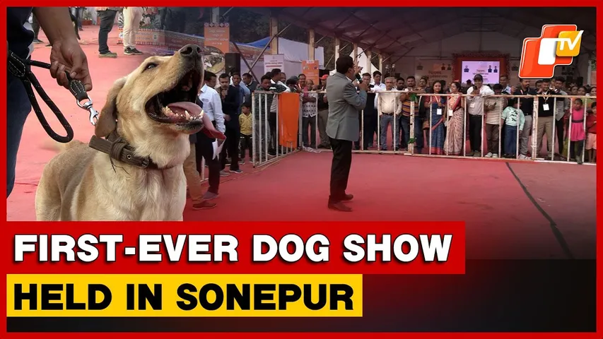 Paws, Pride And Playfulness: First-Ever Dog Show Held In Odisha’s Sonepur