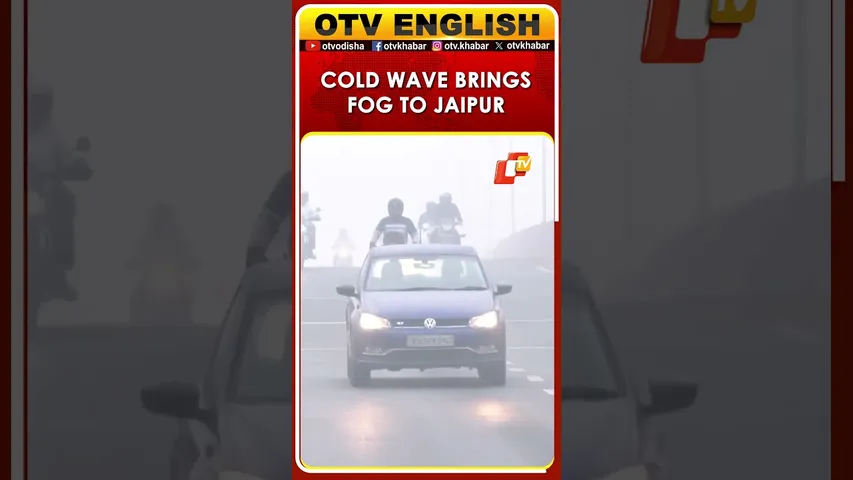 Watch: Cold Wave And Fog Envelopes Jaipur, Rajasthan